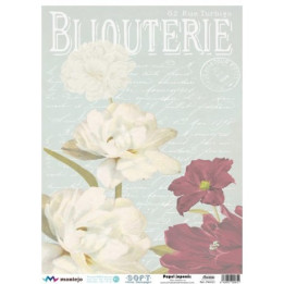 copy of 